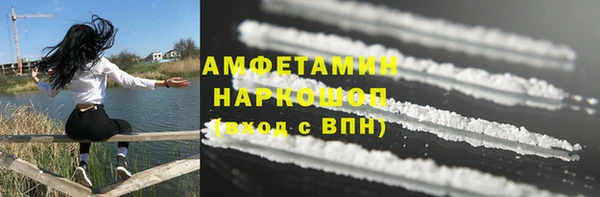 стаф Алзамай