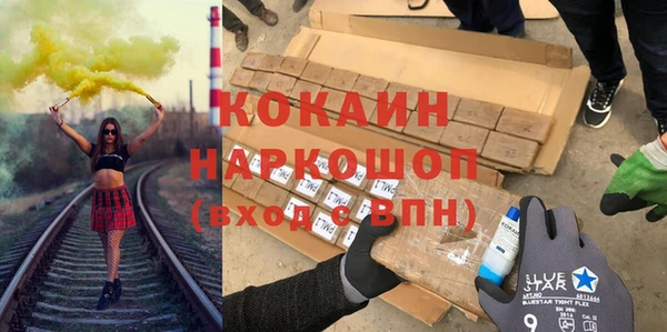 стаф Алзамай