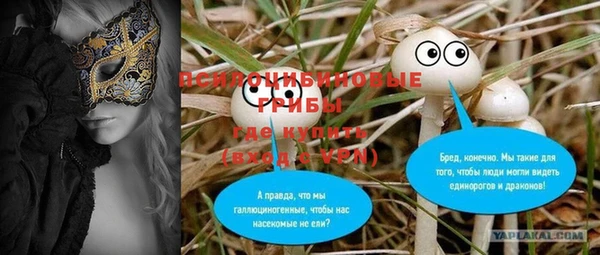 стаф Алзамай