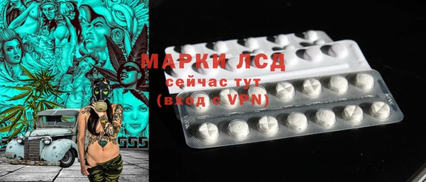стаф Алзамай