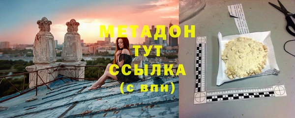 стаф Алзамай