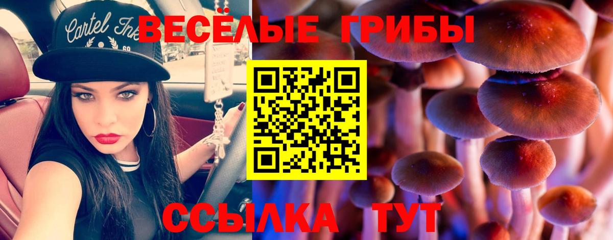 Псилоцибиновые грибы Magic Shrooms Кыштым
