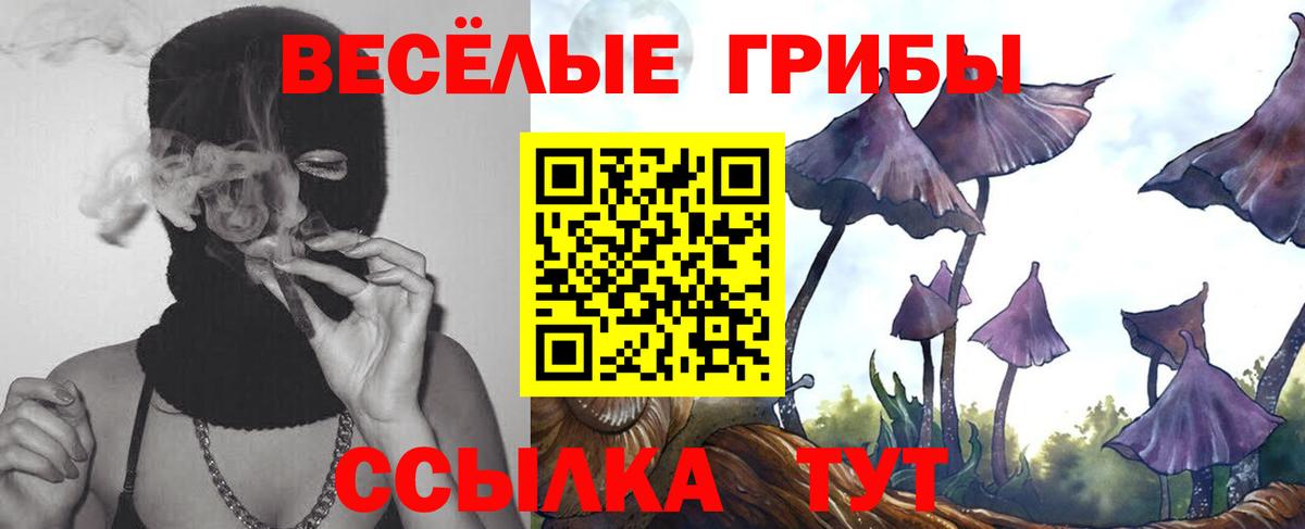 Кыштым  Галлюциногенные грибы Cubensis  Псилоцибиновые грибы Psilocybe  Вход с VPN 